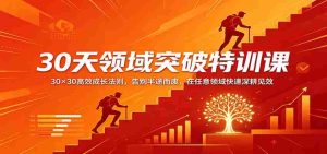 30天领域突破特训课：30×30高效成长法则，告别半途而废，在任意领域快速深耕见效-任任的小木屋 - 热点知汇