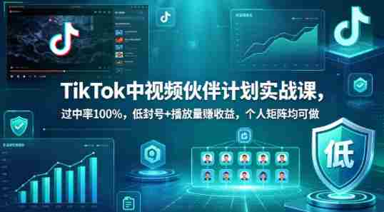 TikTok中视频伙伴计划实战课，过中率100%，低封号+播放量賺收益，个人矩阵均可做-任任的小木屋 - 热点知汇