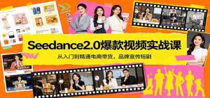 Seedance2.0爆款视频实战课：从入门到精通电商带货，品牌宣传短剧-任任的小木屋 - 热点知汇
