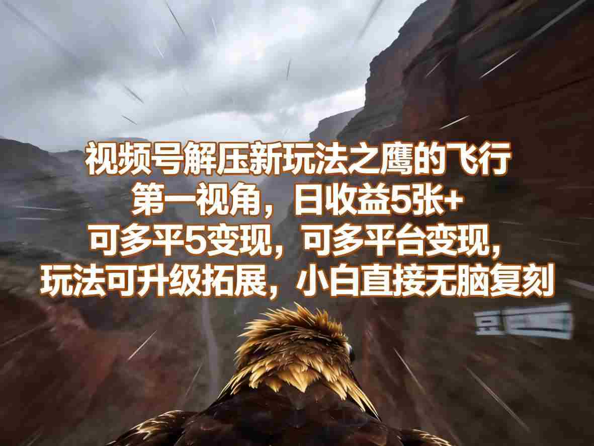 视频号解压新玩法之鹰的飞行第一视角,日收益5张+,可多平台变现,玩法可升级拓展,小白直接无脑复刻-任任的小木屋 - 热点知汇