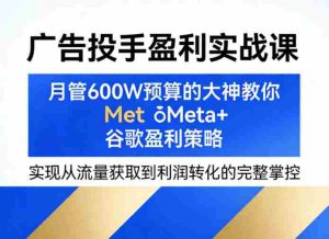 广告投手盈利实战课,月管600W预算的大神教你Meta+谷歌盈利策略,实现从流量获取到利润转化的完整掌控-任任的小木屋 - 热点知汇
