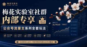 梅花实验室独家揭秘：公众号流量主全攻略大放送-任任的小木屋 - 热点知汇
