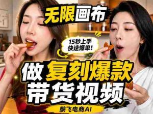 无限画布复刻二创带货视频搭建教学，实操教学，一键复刻爆款带货视频-任任的小木屋 - 热点知汇