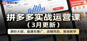 拼多多实战运营课（3月更新）：原价大促，直通车推广，店铺风控，落地教学-任任的小木屋 - 热点知汇