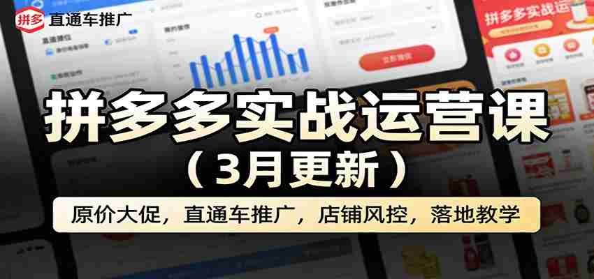 拼多多实战运营课（3月更新）：原价大促，直通车推广，店铺风控，落地教学-任任的小木屋 - 热点知汇