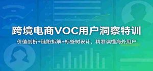 跨境电商VOC用户洞察特训:价值剖析+链路拆解+标签树设计,精准读懂海外用户-任任的小木屋 - 热点知汇