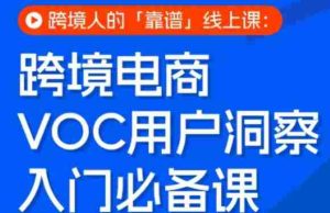 跨境电商VOC用户洞察入门必备课，跨境人的靠谱线上课-任任的小木屋 - 热点知汇