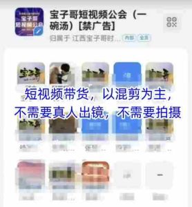 宝子哥头部团队短视频带货,以混剪为主,不需要真人出镜,不需要拍摄【更新26年3月】-任任的小木屋 - 热点知汇