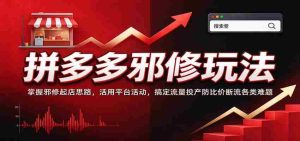 拼多多邪修玩法：掌握邪修起店思路，活用平台活动，搞定流量投产防比价断流各类难题-任任的小木屋 - 热点知汇