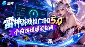雷神新篇章:新手玩家高效引流攻略,日入千元不是梦-任任的小木屋 - 热点知汇