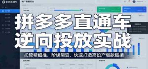 拼多多直通车逆向投放实战：托管精细推，阶梯裂变，快速打造高投产爆款链接-任任的小木屋 - 热点知汇