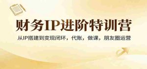 财务IP进阶特训营：从IP搭建到变现闭环，代账，做课，朋友圈运营-任任的小木屋 - 热点知汇