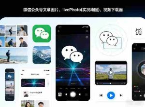 微信公众号文章图片、livePhoto(实况动图)、视频下载器-任任的小木屋 - 热点知汇