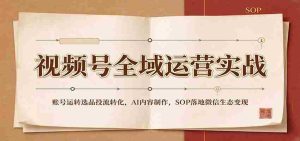 全域运营攻略：视频号账号运营策略、精选内容投放、AI内容创作及SOP在微信生态中实现盈利-任任的小木屋 - 热点知汇