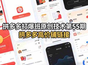 拼多多打爆班原创技术第55期,拼多多高价铺链接-任任的小木屋 - 热点知汇