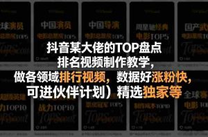 抖音某大佬的TOP盘点排名视频制作,做各领域排行视频,数据好涨粉快,可进伙伴计划+精选独家等-任任的小木屋 - 热点知汇