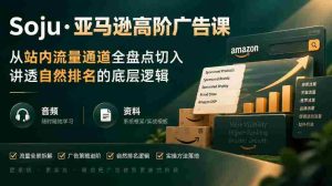 揭秘亚马逊广告进阶策略：深度解析站内流量秘径，揭示自然排名核心原理（直播+音频+学习资料）-任任的小木屋 - 热点知汇