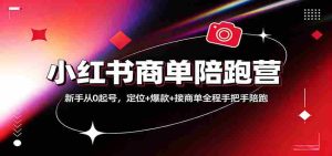小红书商单陪跑营：新手从0起号，定位+爆款+接商单全程手把手陪跑-任任的小木屋 - 热点知汇