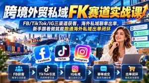 实战攻略:征战跨境电商私域市场,掌握FB、TikTok、IG多平台吸粉技巧,轻松实现海外私域订单转化全链路-任任的小木屋 - 热点知汇
