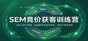 SEM竞价获客训练营:高ROI账户搭建,创意撰写落地页策划,老账户降本增效-任任的小木屋 - 热点知汇