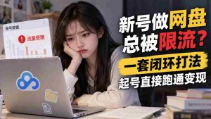 突破网盘限流困境，掌握高效闭环策略，轻松起号实现盈利-任任的小木屋 - 热点知汇
