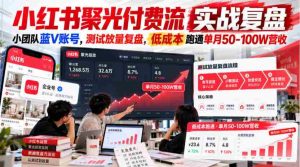 小红书聚光付费流实战复盘|小团队蓝V账号,测试放量复盘,低成本跑通单月50‑100W营收【文档】-任任的小木屋 - 热点知汇