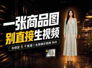 AI女装视频频频翻车?症结并非提示词,Skill女装展示技术聚焦五大关键变量!-任任的小木屋 - 热点知汇