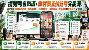 视频号自然流+微付费正价起号实战课：系统掌握直播推流逻辑、自然流起号、低成本投流、爆款选品、成交话术与憋单技巧全流程-任任的小木屋 - 热点知汇