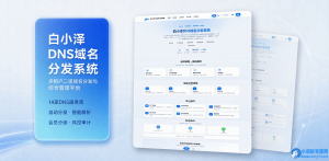 白小泽DNS域名分发系统 公测版 v1.0.0-任任的小木屋 - 热点知汇