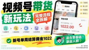揭秘视频号带货新攻略:全程解析操作步骤,新手轻松一周赚千佣金,副业优选!-任任的小木屋 - 热点知汇