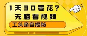 1天30零花?无脑看视频,大佬亲自揭秘-任任的小木屋 - 热点知汇