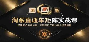 淘系直通车矩阵策略精讲：构建低成本投放框架，高效提升投资回报率并吸引自然搜索流量-任任的小木屋 - 热点知汇