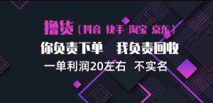 揭秘抖音、淘宝、快手买手计划：每单盈利约20元，单日三单，矩阵运营高效盈利-任任的小木屋 - 热点知汇