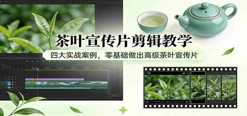 茶叶宣传片剪辑教学:四大实战案例,零基础做出高级茶叶宣传片-任任的小木屋 - 热点知汇
