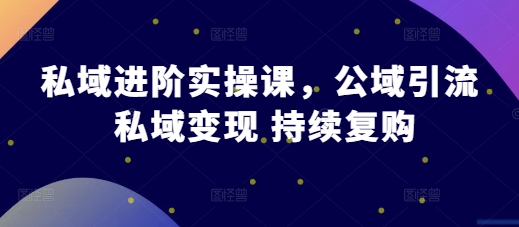 私域进阶实操课,公域引流 私域变现 持续复购-任任的小木屋 - 热点知汇