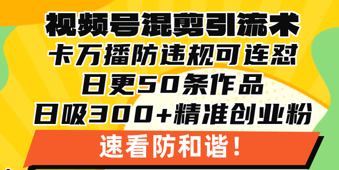 视频号混剪引流技术,500万播放引流17000创业粉,操作简单当天学会-任任的小木屋 - 热点知汇