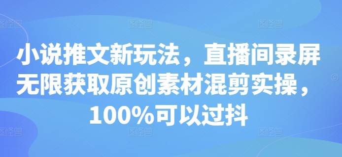 小说推文新玩法，直播间录屏无限获取原创素材混剪实操，100%可以过抖-任任的小木屋 - 热点知汇